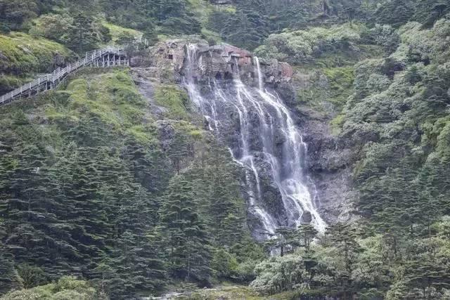 沪江开心词场